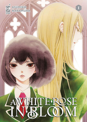 A White Rose In Bloom 1