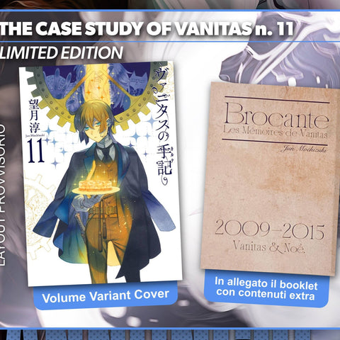 The Case Study Of Vanitas 11 LIMITED