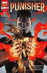 Punisher 11