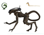 ALIEN ULTIMATE DOG ALIEN AF