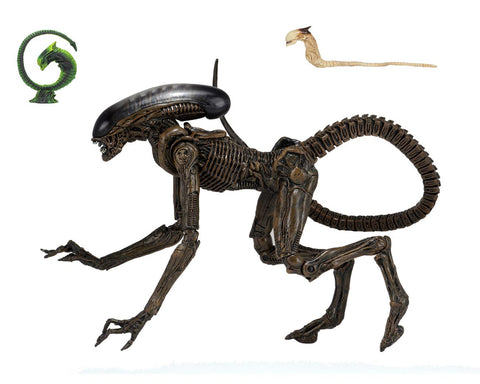 ALIEN ULTIMATE DOG ALIEN AF