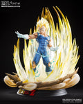 DRAGON BALL MAJIN VEGETA HQS