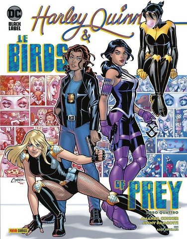 Harley Quinn E Le Birds Of Prey 4