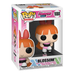 THE POWERPUFF GIRLS BLOSSOM POP