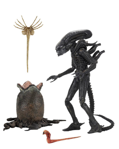 ALIEN BIG CHAP 40TH ANN.ULTIMATE AF
