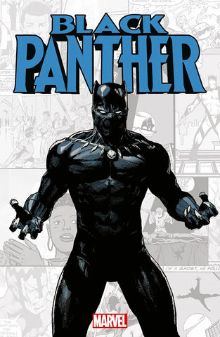 Marvel-Verse: Black Panther