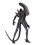 ALIEN BIG CHAP 40TH ANN.1/4 AF