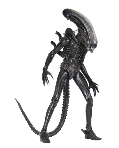ALIEN BIG CHAP 40TH ANN.1/4 AF