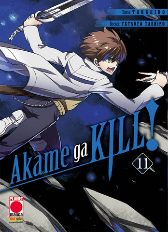 Akame Ga Kill! 11 - Ristampa