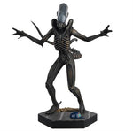 ALIEN & PREDATOR - XENOMORPHE ALIEN - FIGURE 15CM
