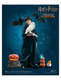 HARRY POTTER CHILD HALLOWEEN VER AF