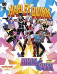 Harley Quinn E Le Birds Of Prey 3