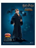 HP RON WEASLEY CHILD HALLOWEEN VER